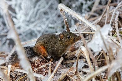 2022年4月美国销量榜：《乐高星球大战：天行者传奇》登顶