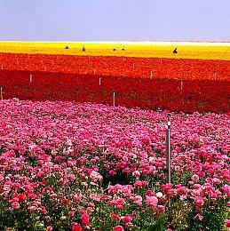 RPG式动作游戏《Skateboard Knight》Steam页面 支持简中